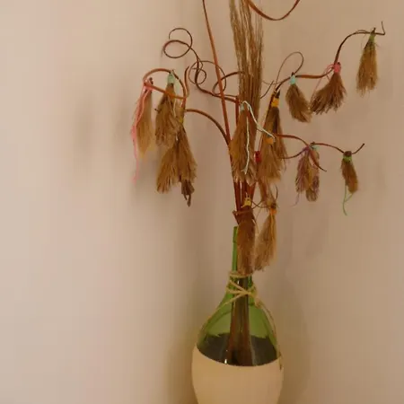 Daire Sailor's House