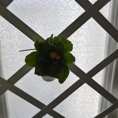 Sailor's House 公寓