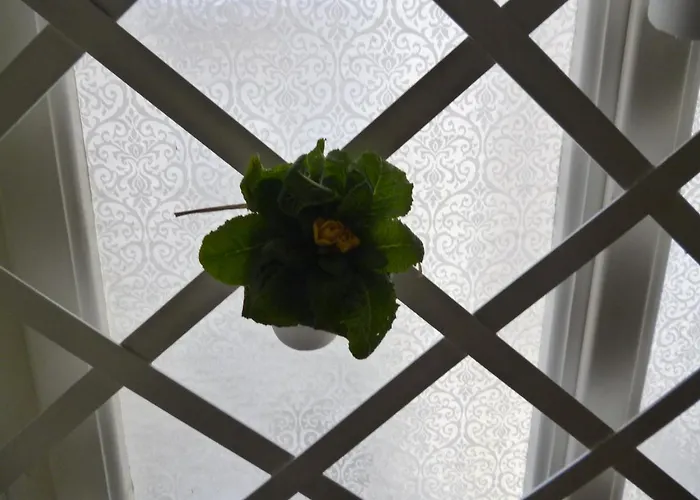 Sailor's House アパート